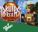 NetEnt Druid's Dream Slot
